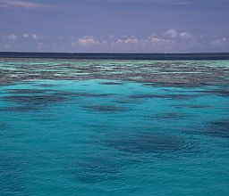 Snorkel Great Barrier Reef Cairns